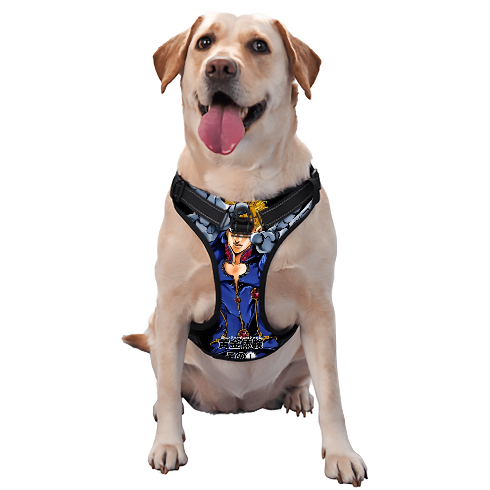 （画像用） ジョジョの奇妙な冒険 ジョルノ?ジョバァーナ JoJo's Bizarre Adventure Giorno Giovanna ペット用ハーネス